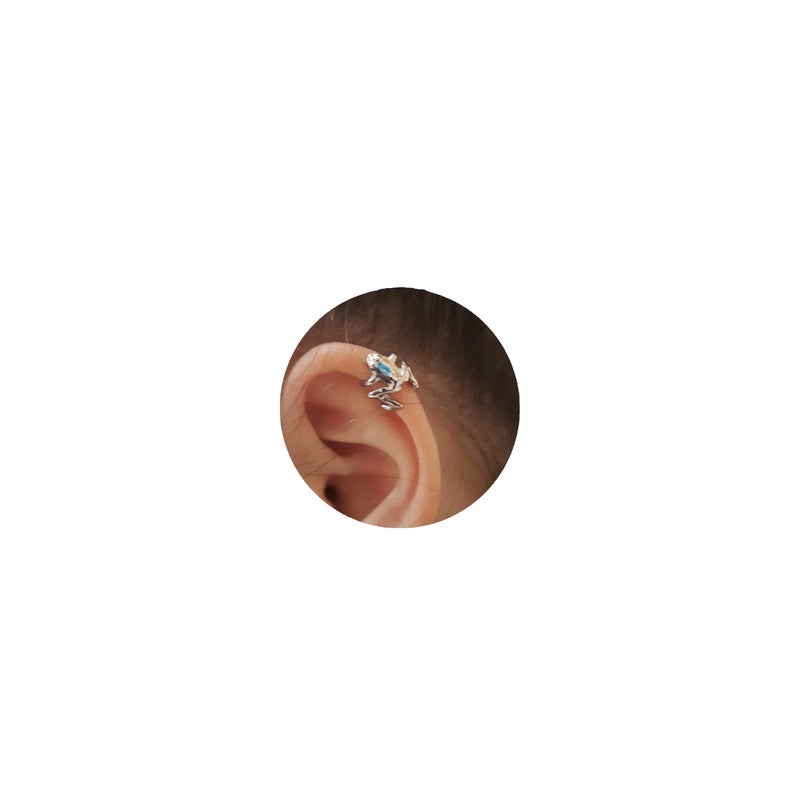 Frodete Silver Frog Earrings for Women Vintage Frogs Shaped Stud Earrings Funny Cute 3D Earrings Animal Earrings Jewelry Gifts - Image 1